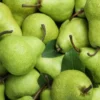Manfaat Buah Pear yang Kaya Akan Serat dan Nutrisi