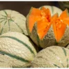 Cara Mengetahui Melon Matang, via Unsplash-Alexandra Smielova