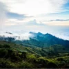 10 Tempat Wisata di Lembang Bandung untuk Keluarga, via Unsplash-Aaron Thomas
